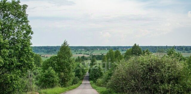 Любытинское с/пос, д. Княжее Село-2 фото