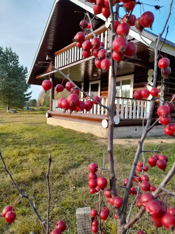 дом р-н Ржевский д Рогово 14, Сытьково фото 1