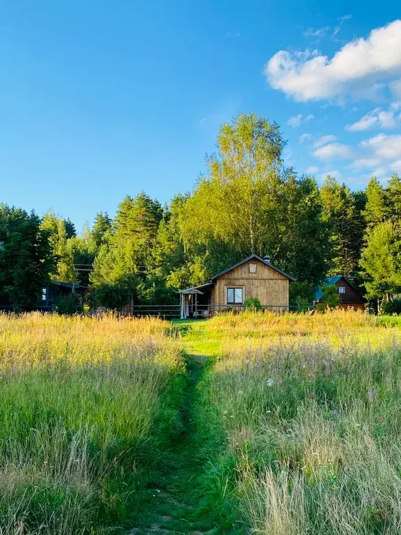 дом р-н Пеновский с Ширково Селигер, 8, Осташков фото 3