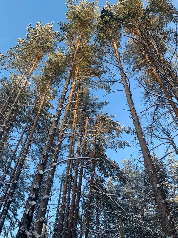 дом р-н Медвежьегорский г Медвежьегорск ул Магистральная 17 фото 4