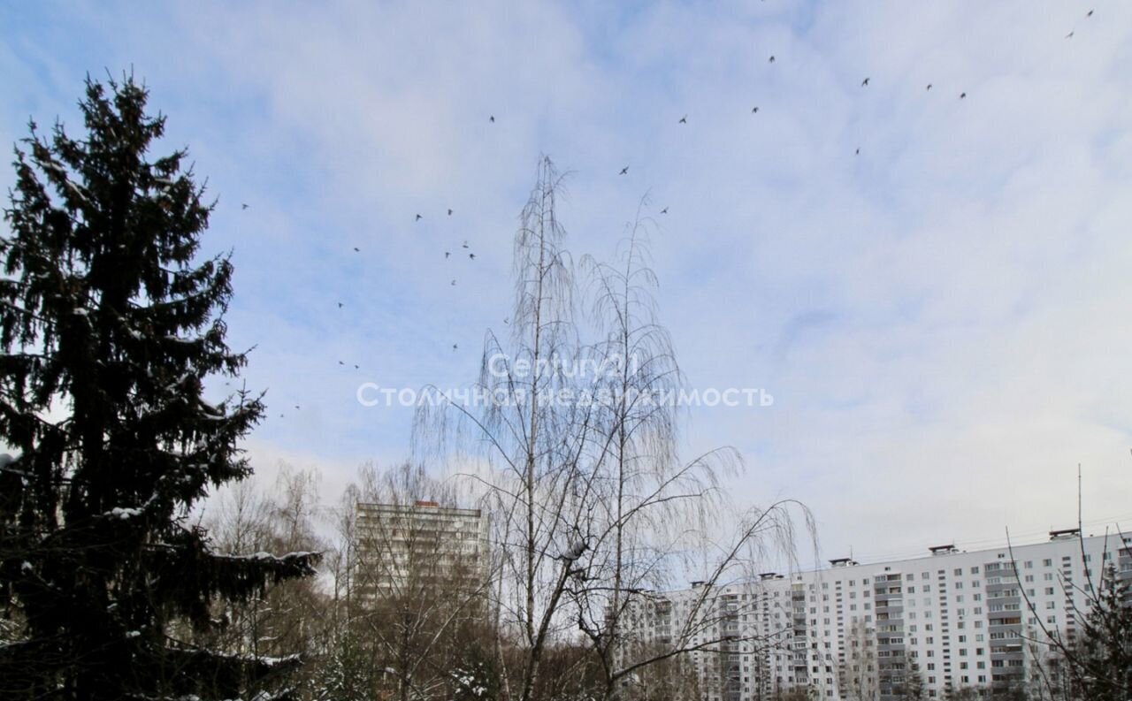 квартира г Москва ТиНАО Троицк ул Солнечная 6 Московская область, городской округ Истра, Троицк фото 17