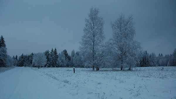 земля р-н Чкаловский г Чкаловск фото 14