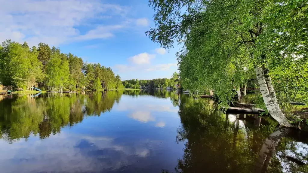 квартира р-н Пряжинский п Сяпся ул Речная 14 к 2 фото 26