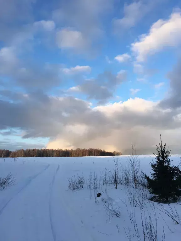 дом городской округ Солнечногорск д Шелепаново 105Ш, Солнечногорск фото 13