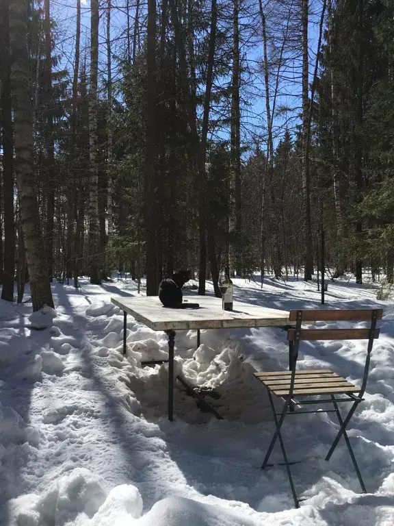 дом городской округ Солнечногорск д Шелепаново 105Ш, Солнечногорск фото 17