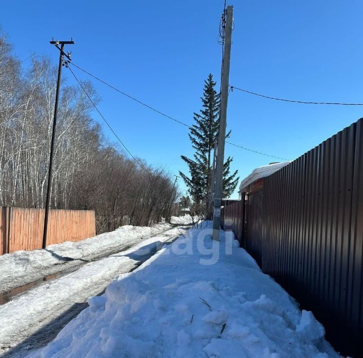 земля г Омск р-н Центральный снт Любитель-3 фото 12