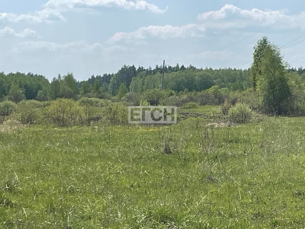 земля городской округ Раменский д Меткомелино фото 14