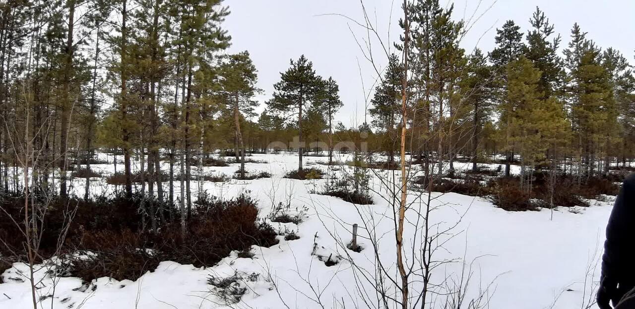 земля р-н Приморский снт Лайское 9-я улица, Архангельск фото 2