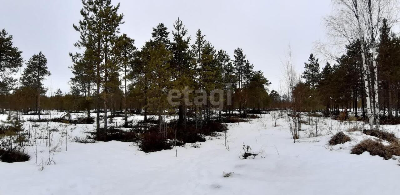 земля р-н Приморский снт Лайское 9-я улица, Архангельск фото 4