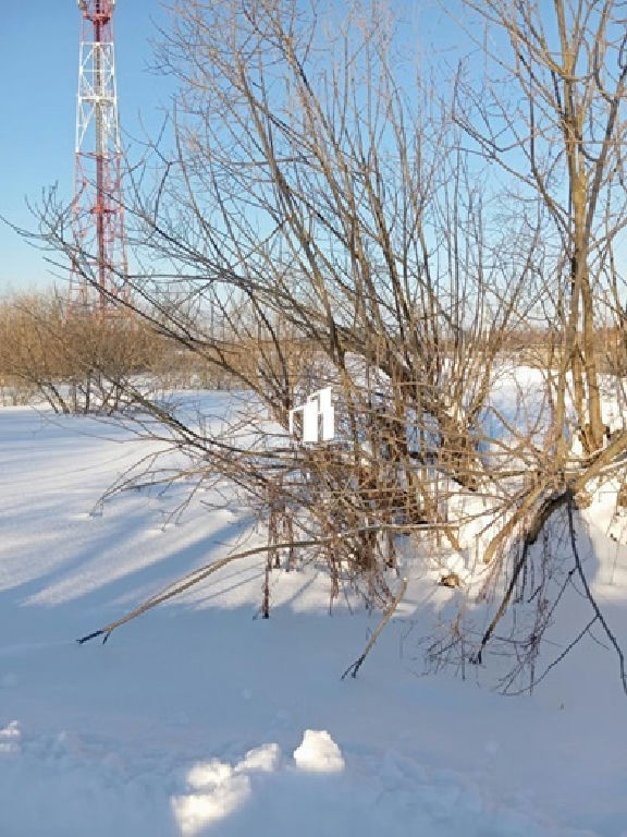 земля городской округ Егорьевск д Рыжево фото 3