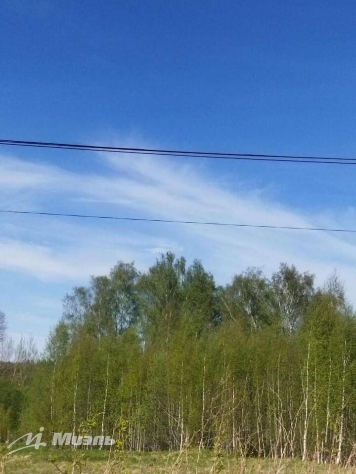 земля городской округ Солнечногорск д Толстяково фото 2