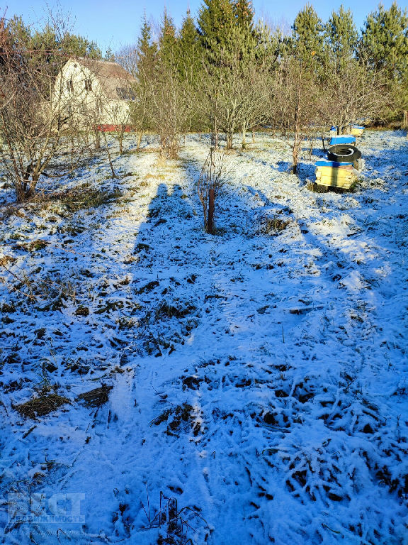 земля городской округ Чехов д Сандарово фото 5