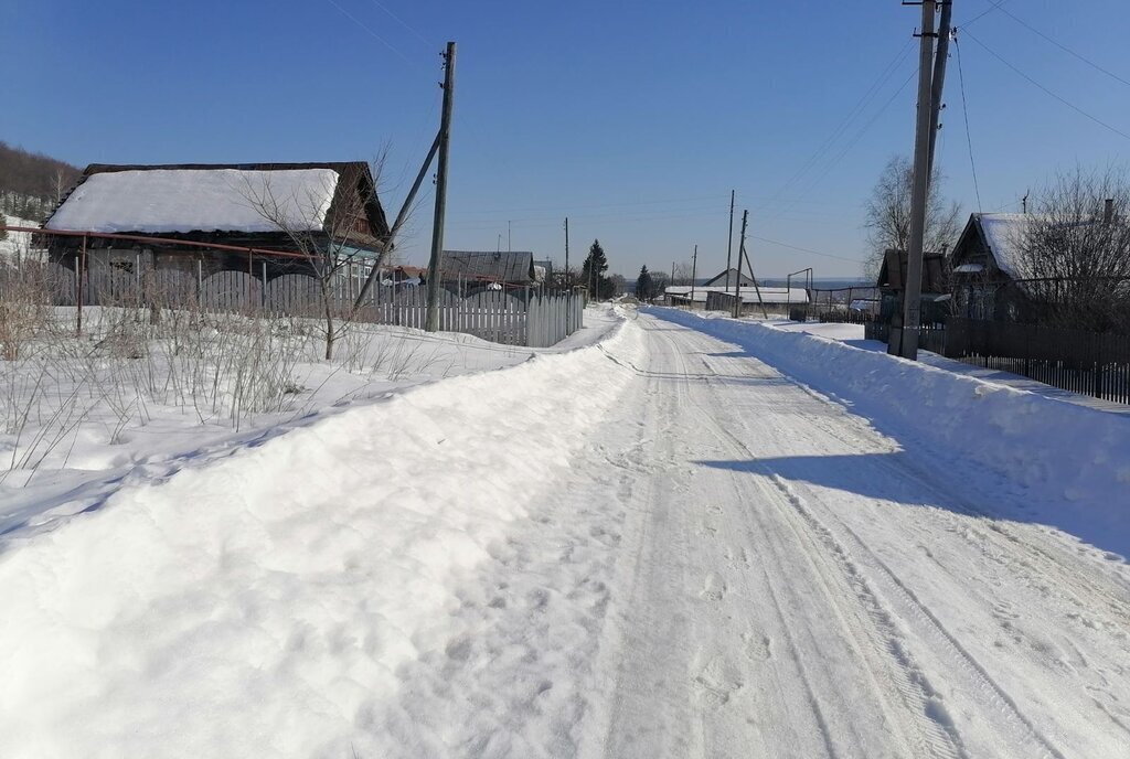 земля р-н Лунинский с Большой Вьяс ул Первомайская фото 1