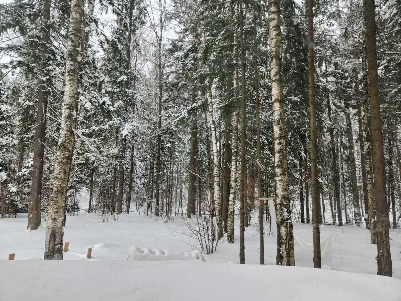 дом городской округ Красногорск д Бузланово район, Новорижское шоссе фото 8