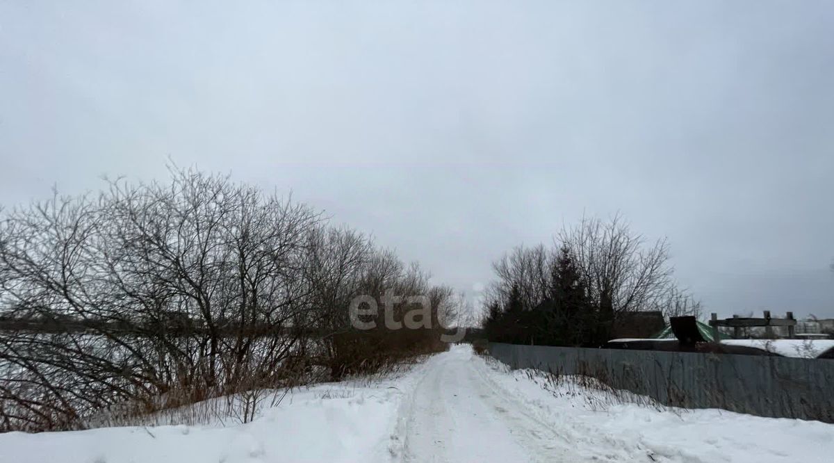 земля р-н Тамбовский снт Озеро Красное Тамбов городской округ фото 8