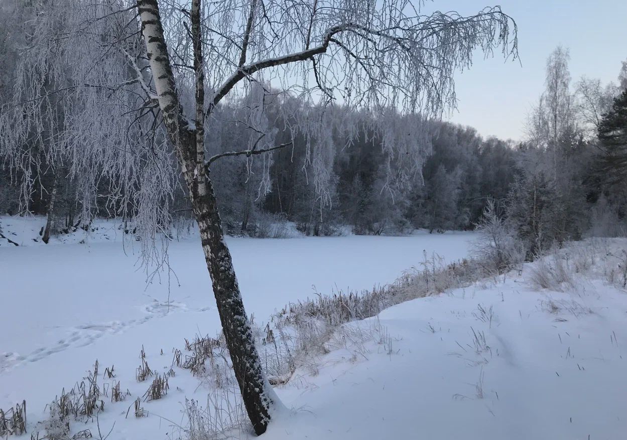 земля городской округ Рузский д Нововолково 9793 км, Руза, Минское шоссе фото 12