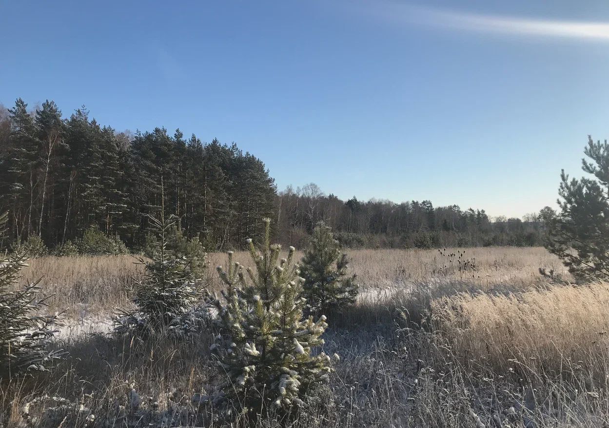 земля городской округ Рузский д Нововолково 9793 км, Руза, Минское шоссе фото 15