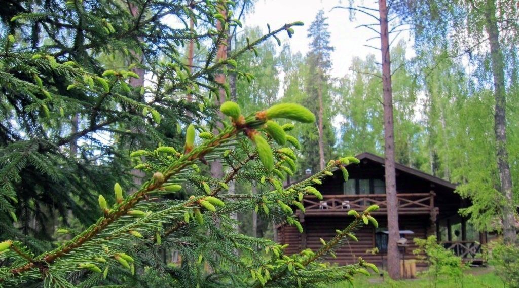 комната р-н Костромской д Лунёво Чернопенское с/пос, 50 фото 2