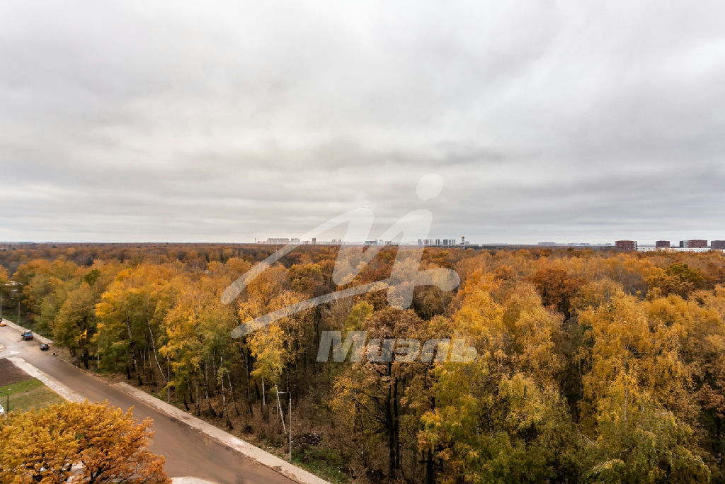 квартира г Москва метро Прокшино Лобановский Лес ул., 13, обл Московская фото 3