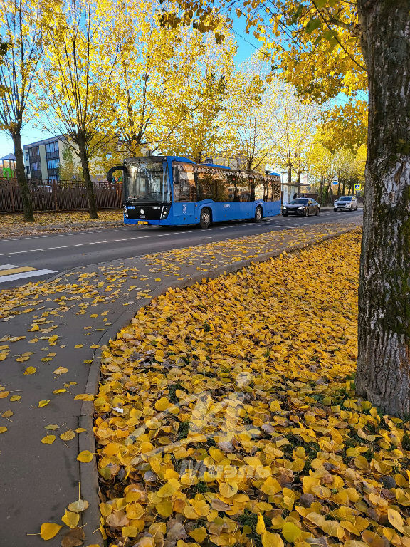 квартира городской округ Шатура д Харлампеево ул., 44, Марьино пос. фото 26