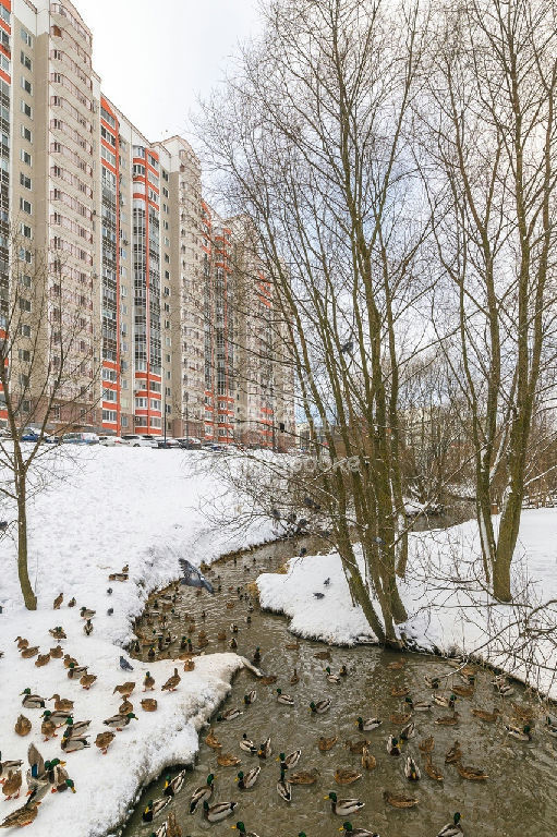 квартира Бунинская аллея, Чечерский пр-д, 122К 3, Язово д. фото 28