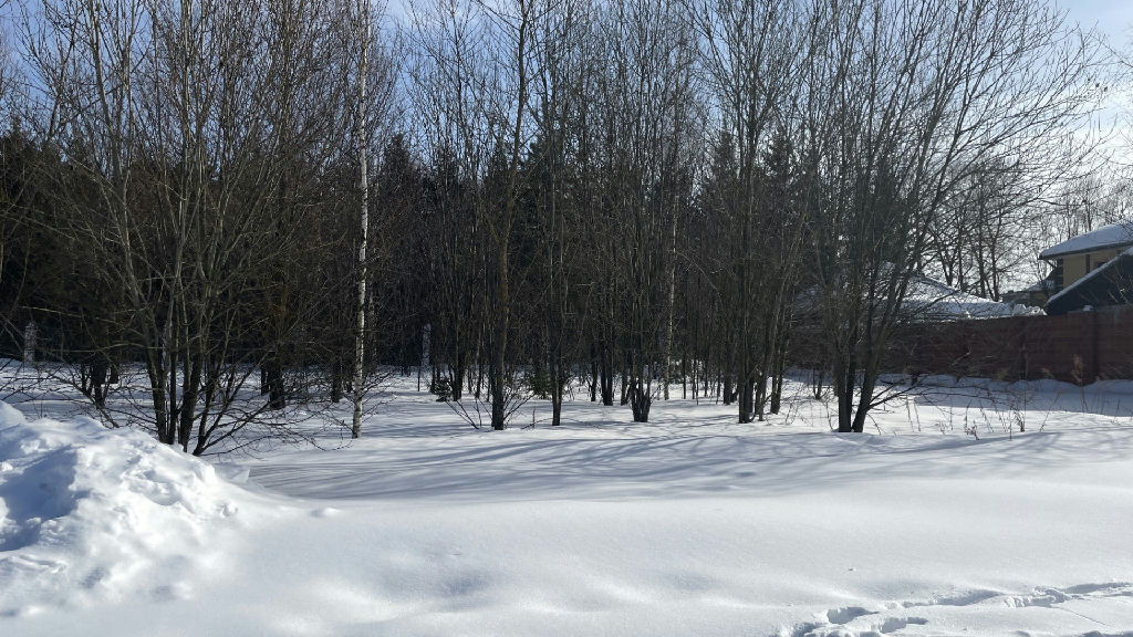 земля городской округ Раменский с Зюзино Зюзино с. 1-я Полевая ул фото 5