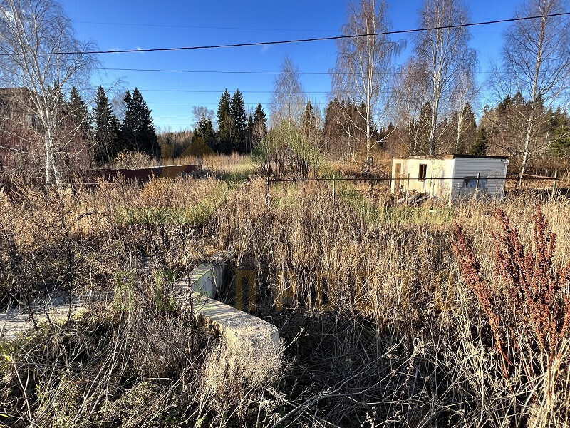 земля городской округ Солнечногорск д Соскино фото 13