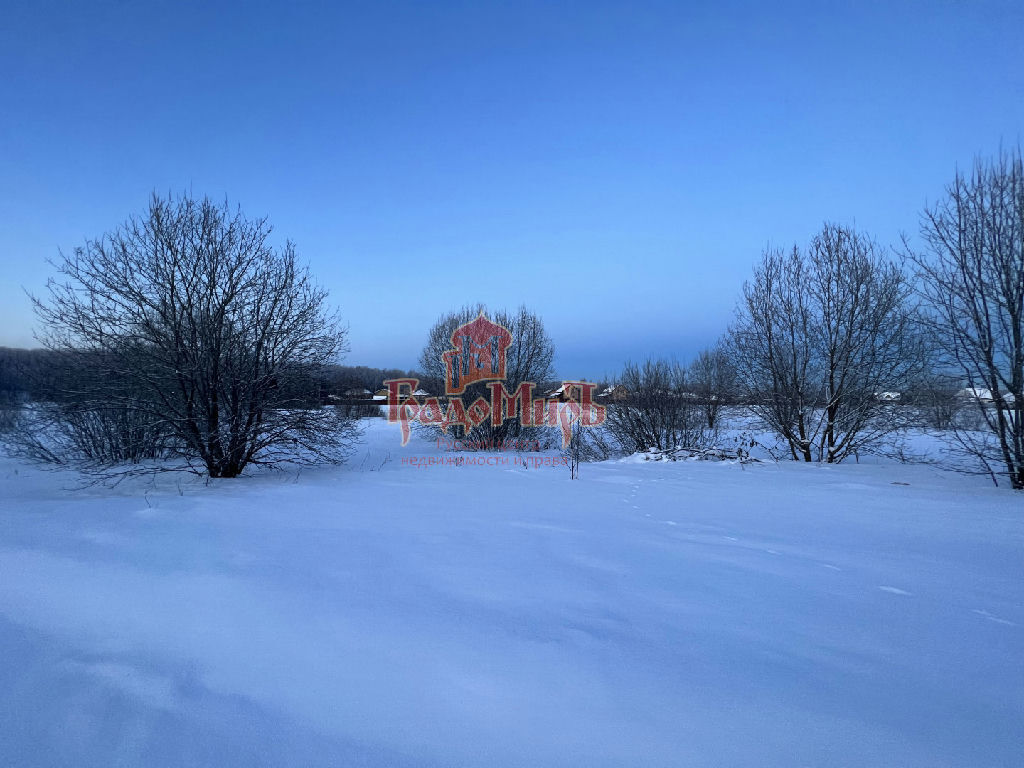 земля городской округ Сергиево-Посадский д Старожёлтиково фото 17