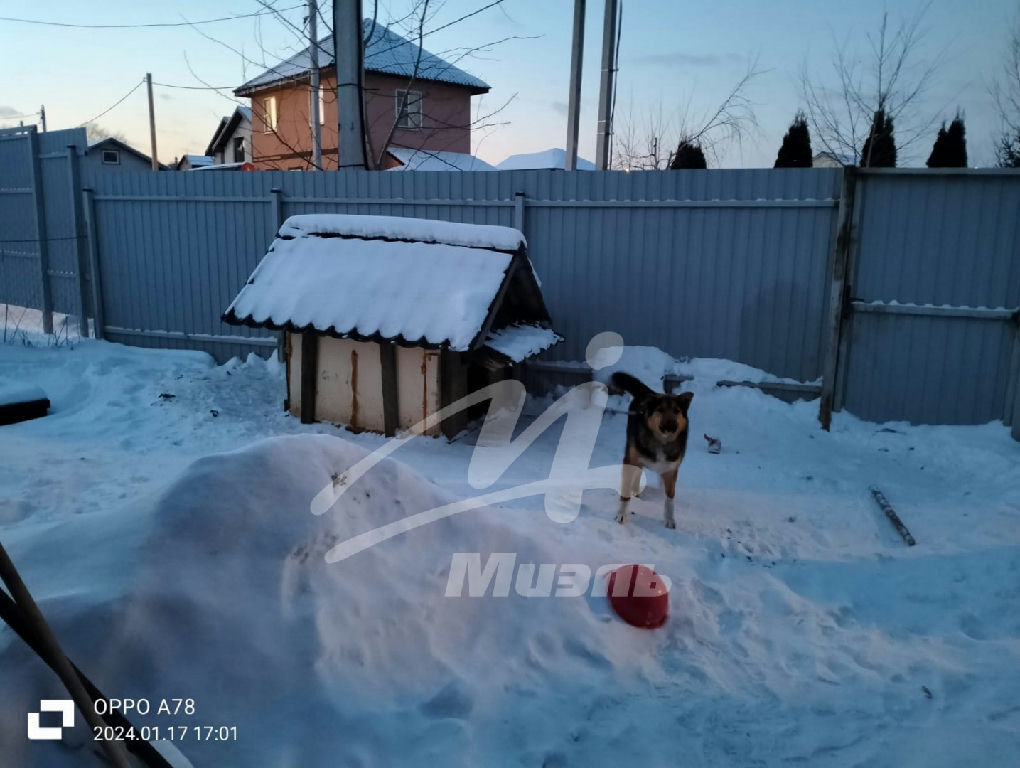 дом городской округ Раменский с Кривцы Кривцы с. Светлая ул., 44 фото 30