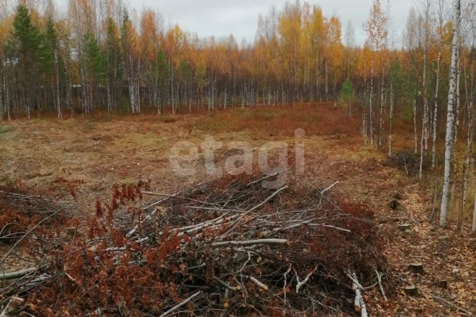 земля р-н Ханты-Мансийский СОНТ Виктория, 2 фото 3