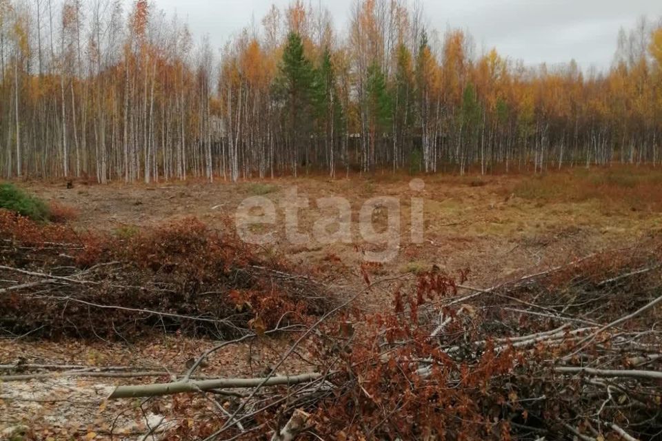 земля р-н Ханты-Мансийский СОНТ Виктория, 2 фото 3