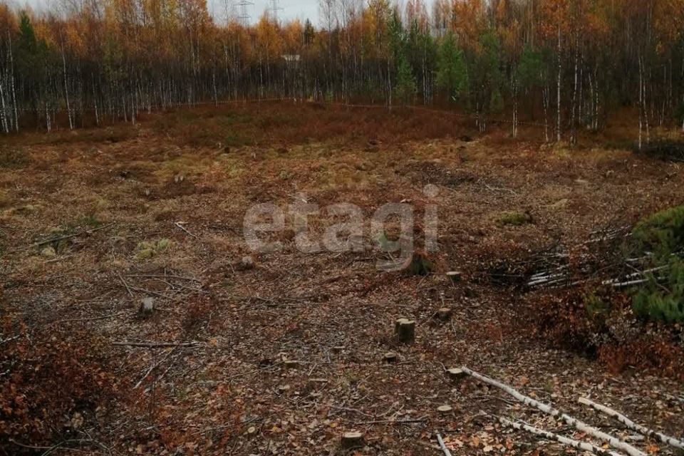 земля р-н Ханты-Мансийский СОНТ Виктория, 2 фото 4