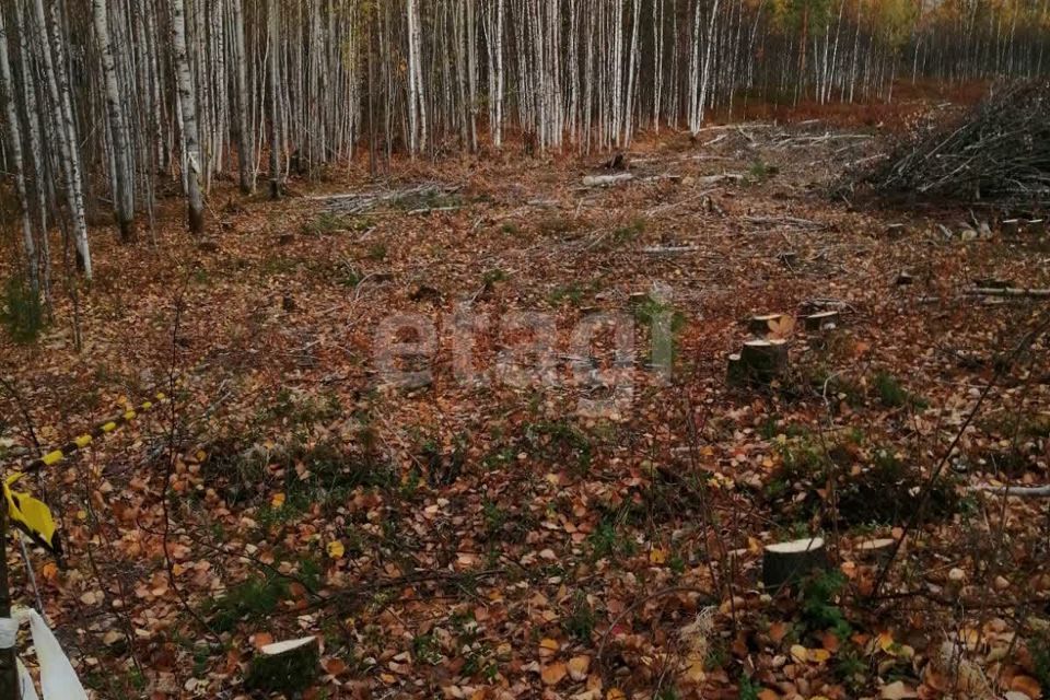 земля р-н Ханты-Мансийский СОНТ Виктория, 2 фото 1