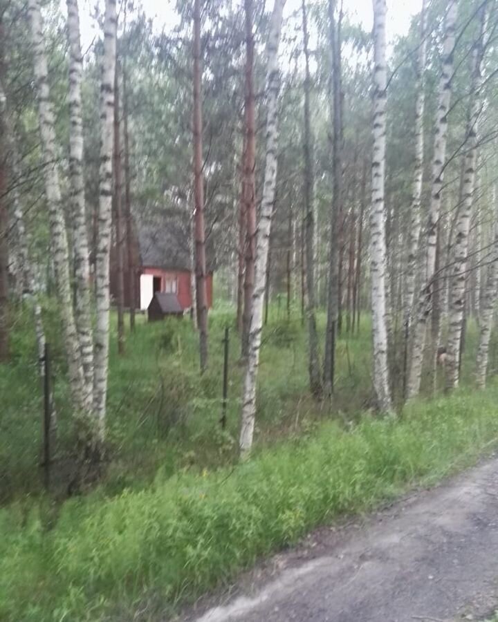 земля городской округ Дмитровский садовое товарищество Хлебопёк, Дубна фото 9