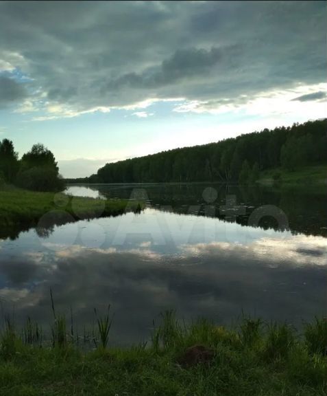 земля р-н Богородский с Ефимьево ул Солнечная 53 Буревестник фото 3