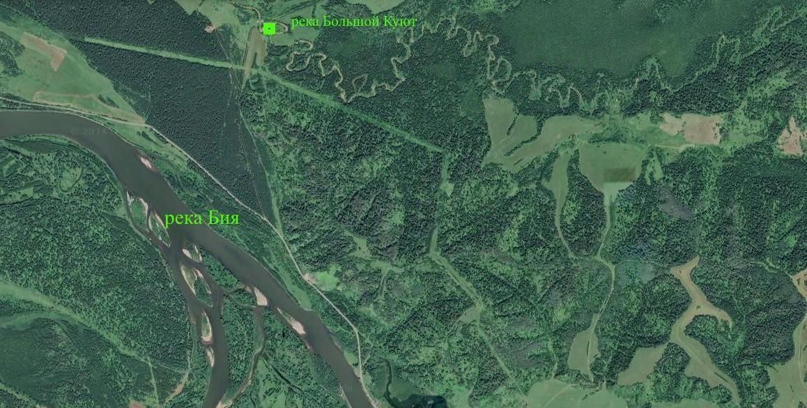 земля р-н Турочакский с Озеро-Куреево фото 3
