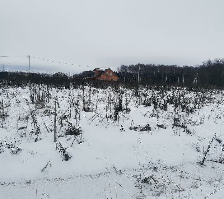 земля городской округ Домодедово деревня Минаево фото 1