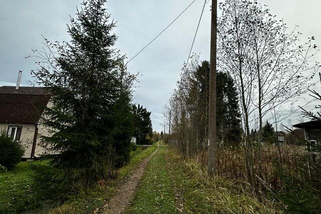 земля массив Пупышево садоводческое некоммерческое товарищество Абразив фото