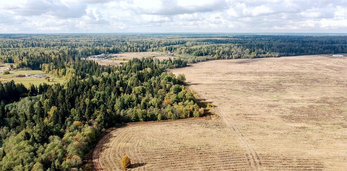 земля городской округ Истра д Малое Ушаково фото 7