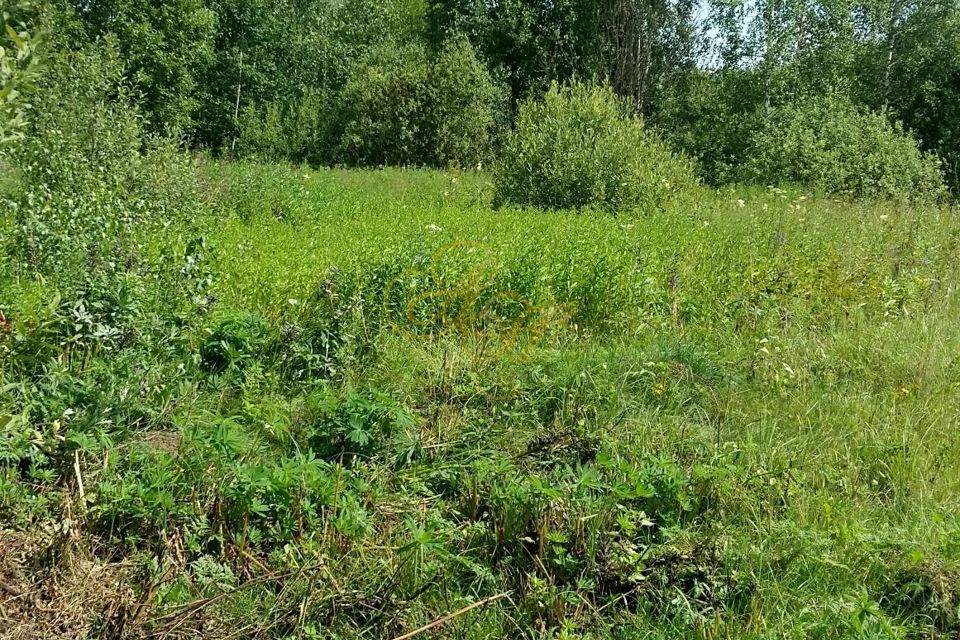 земля городской округ Клин деревня Нагорное фото 8