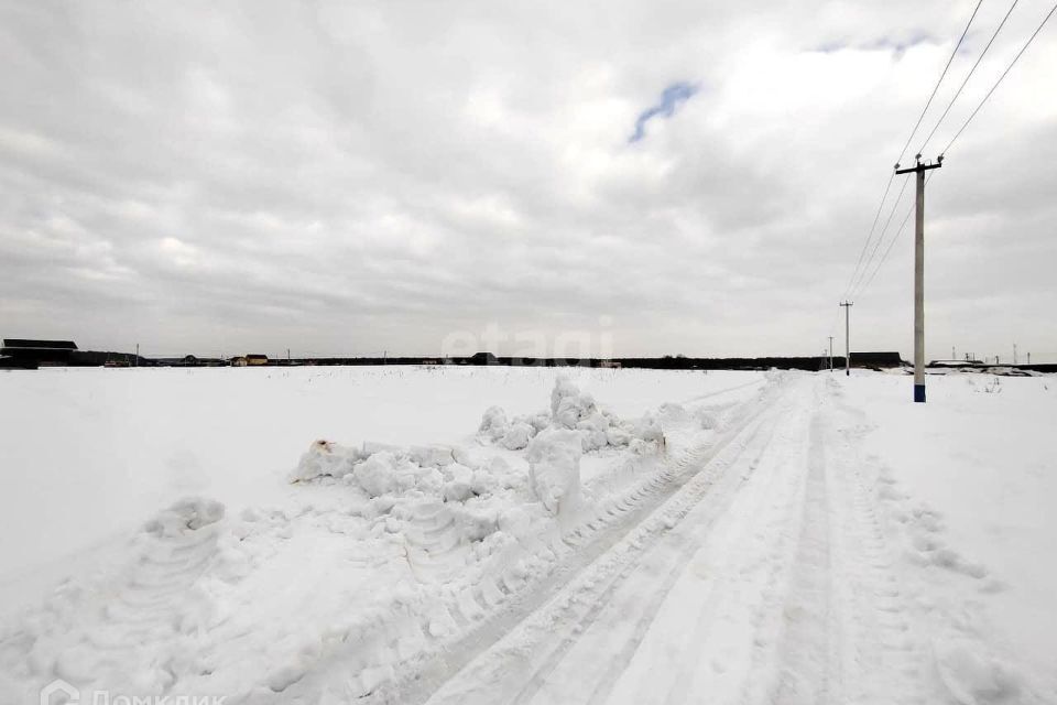 земля городской округ Домодедово деревня Минаево фото 6