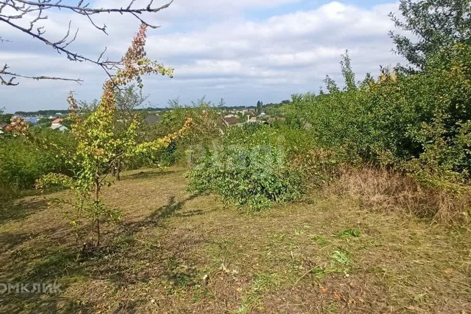 земля р-н Белгородский дачный посёлок Родники фото 5