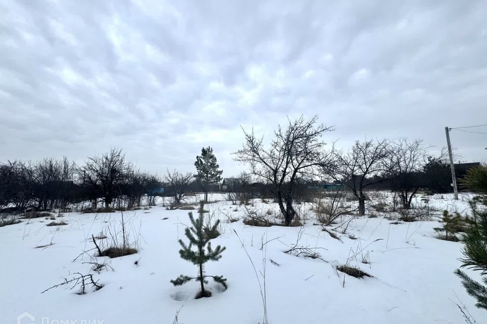 земля г Воронеж городской округ Воронеж, СНТ Иволга фото 4