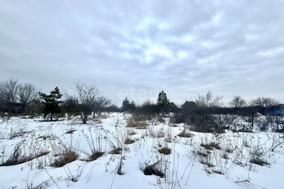 земля г Воронеж городской округ Воронеж, СНТ Иволга фото 2