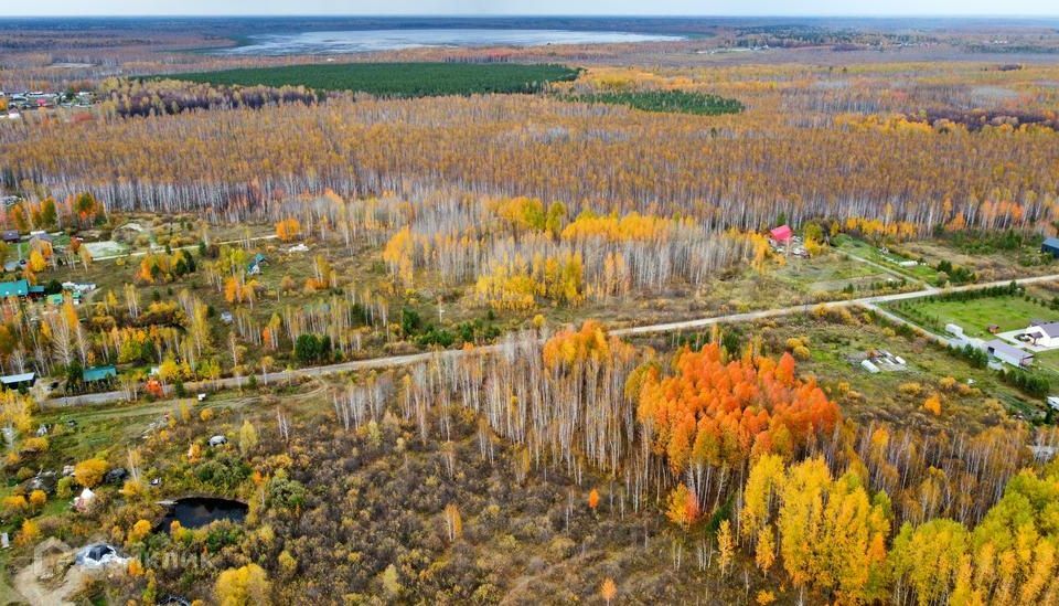 земля р-н Нижнетавдинский СНТ Геофизик 2 фото 4