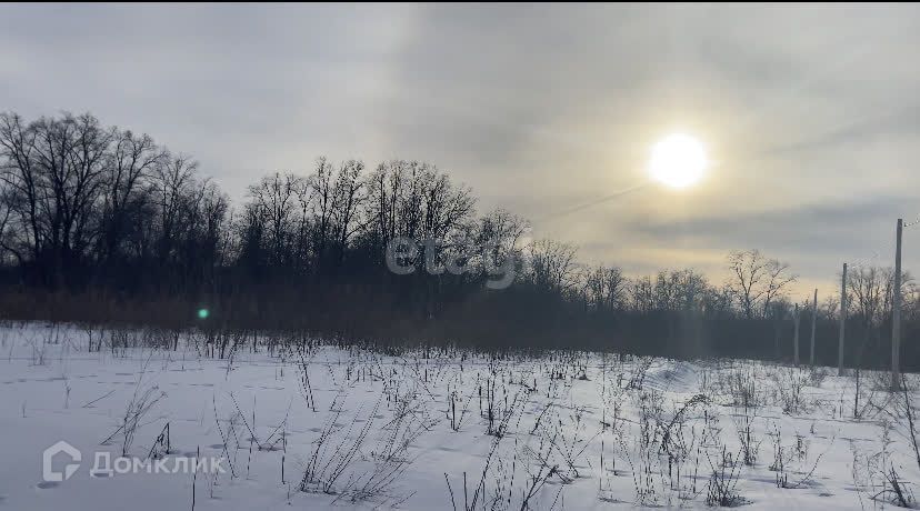 земля р-н Новоусманский с Бабяково ул Дачная фото 5