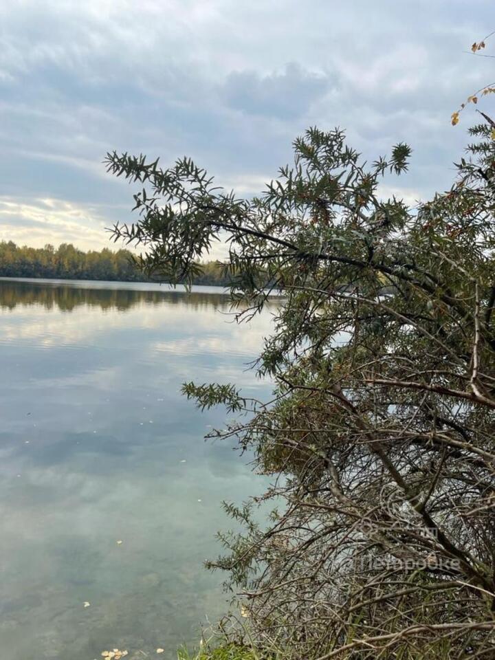 земля городской округ Щёлково г. Кожинская ул фото 2