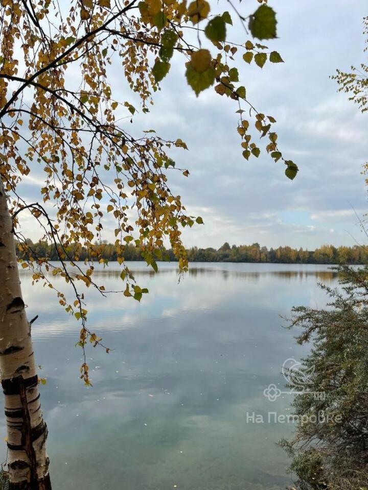 земля городской округ Щёлково г. Кожинская ул фото 3