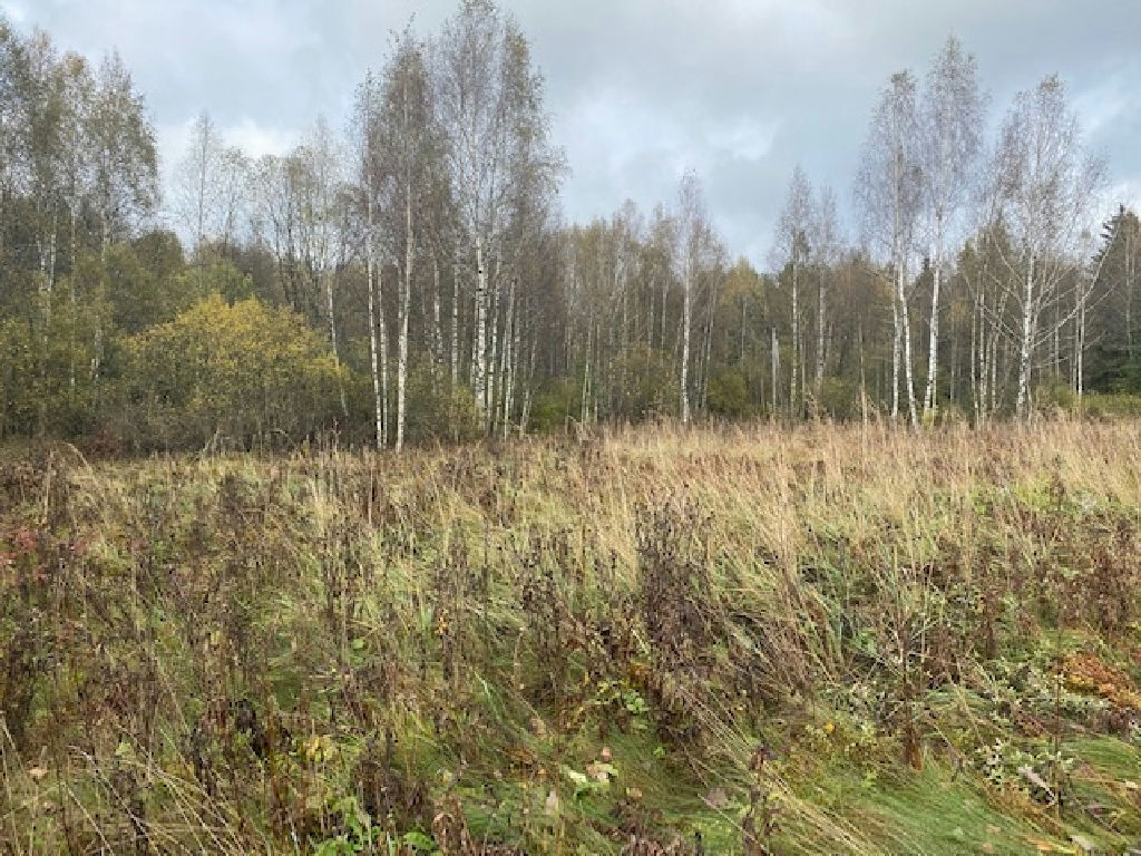 земля городской округ Дмитровский д Ассаурово фото 1