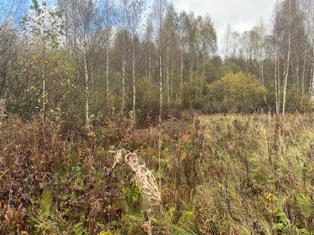 земля городской округ Дмитровский д Ассаурово фото 2